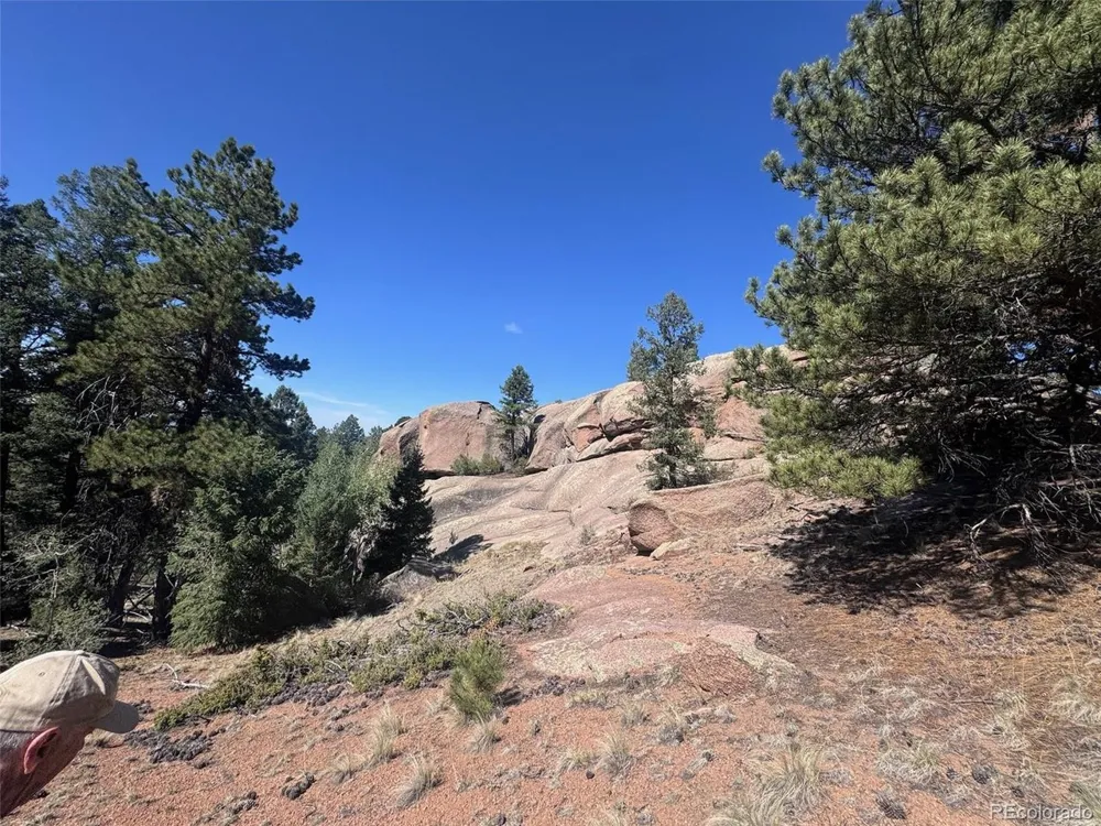 2356 Mountain Estates Road Florissant, CO 80816