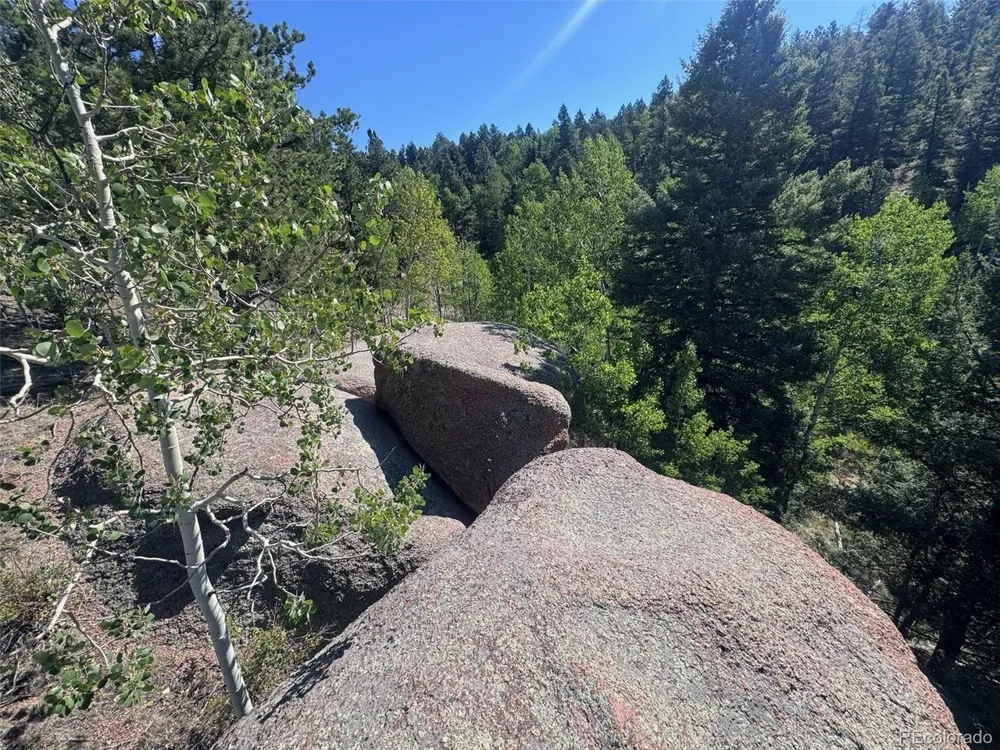 2356 Mountain Estates Road Florissant, CO 80816