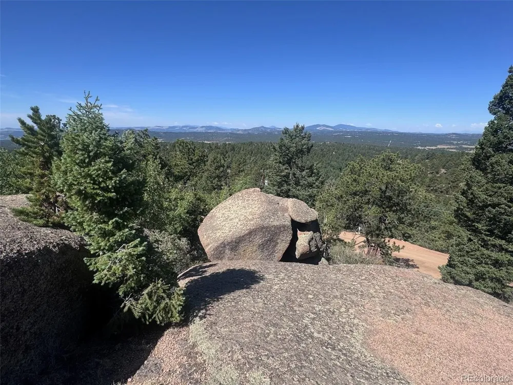2356 Mountain Estates Road Florissant, CO 80816
