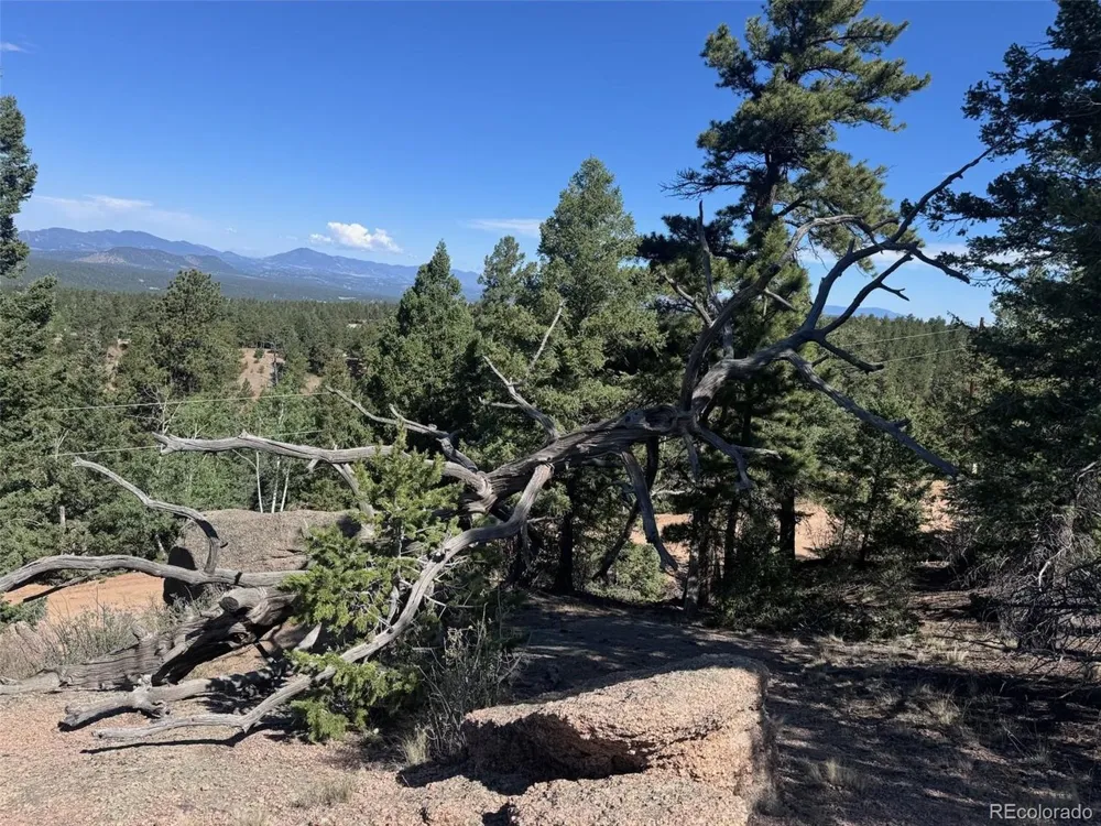 2356 Mountain Estates Road Florissant, CO 80816