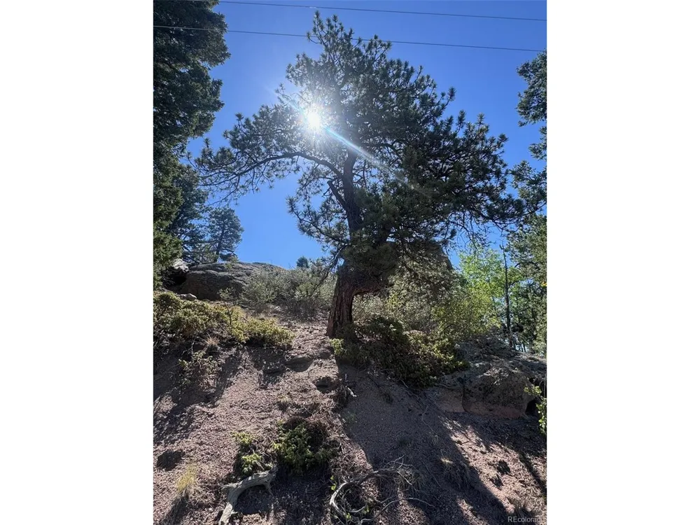 2356 Mountain Estates Road Florissant, CO 80816