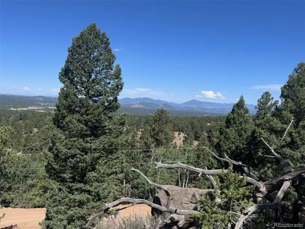 2356 Mountain Estates Road Florissant, CO 80816