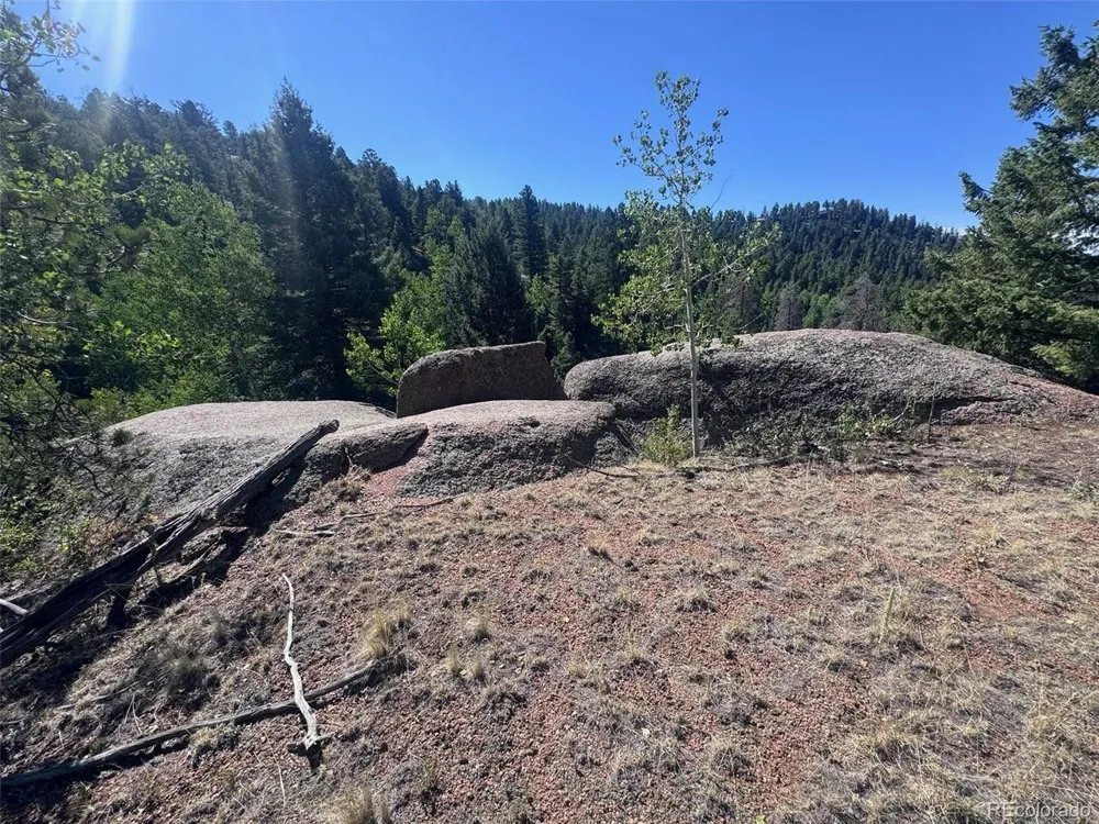 2356 Mountain Estates Road Florissant, CO 80816