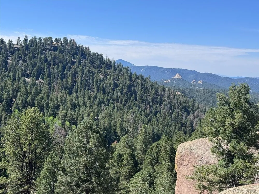 2356 Mountain Estates Road Florissant, CO 80816