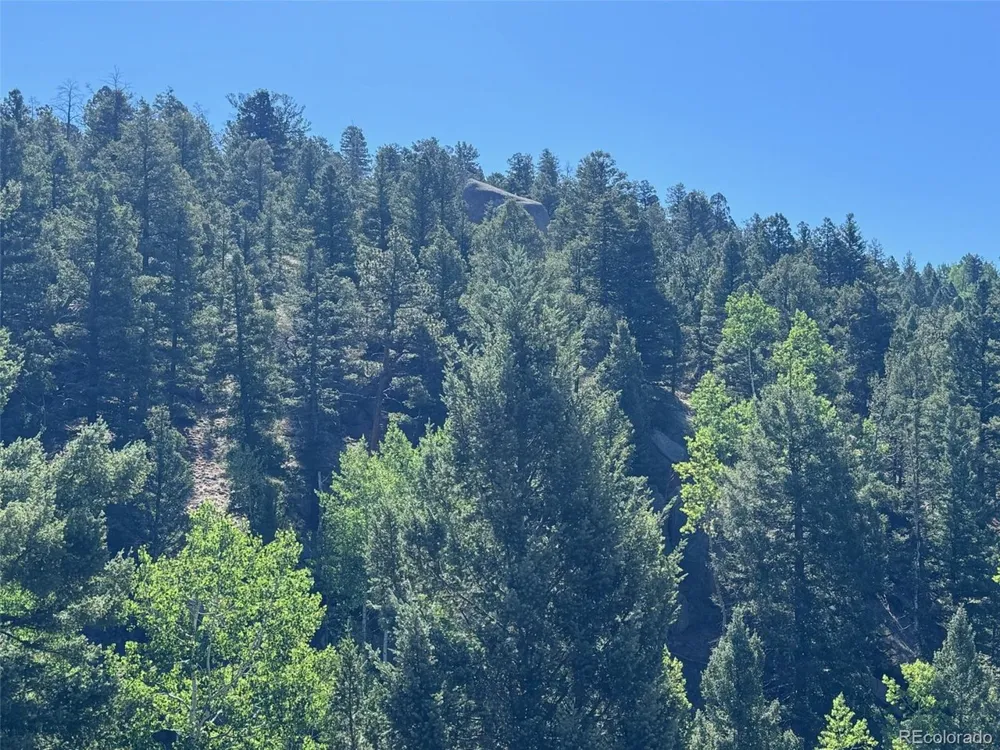 2356 Mountain Estates Road Florissant, CO 80816