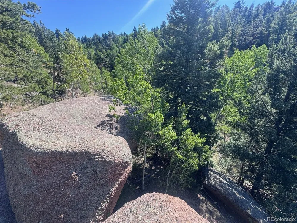 2356 Mountain Estates Road Florissant, CO 80816