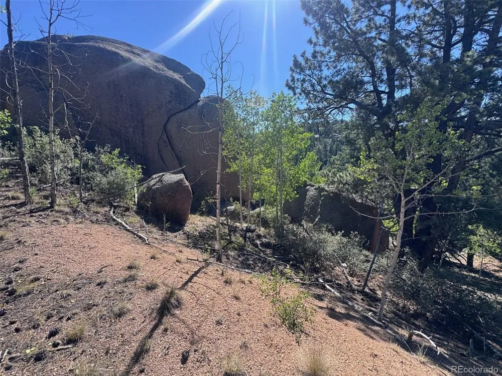 2356 Mountain Estates Road Florissant, CO 80816
