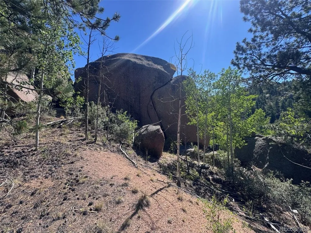 2356 Mountain Estates Road Florissant, CO 80816