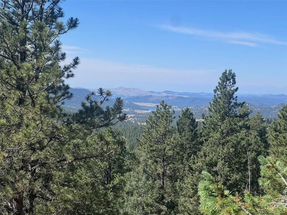 2356 Mountain Estates Road Florissant, CO 80816