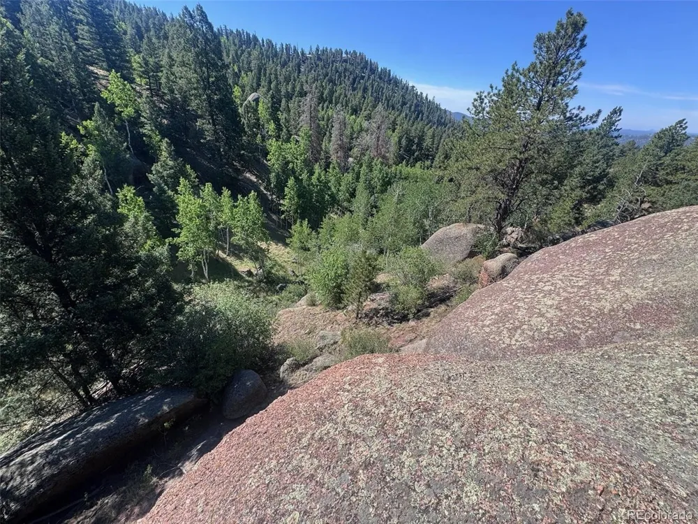 2356 Mountain Estates Road Florissant, CO 80816