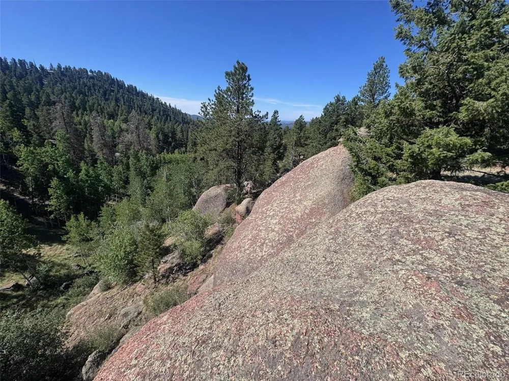 2356 Mountain Estates Road Florissant, CO 80816