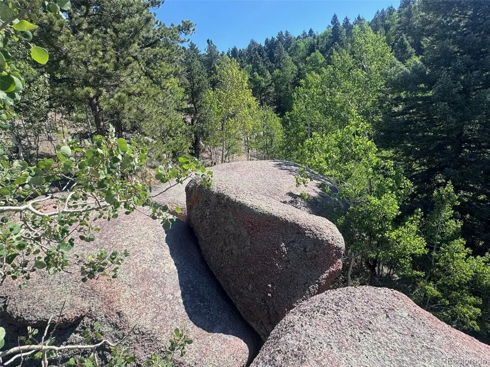 2356 Mountain Estates Road Florissant, CO 80816