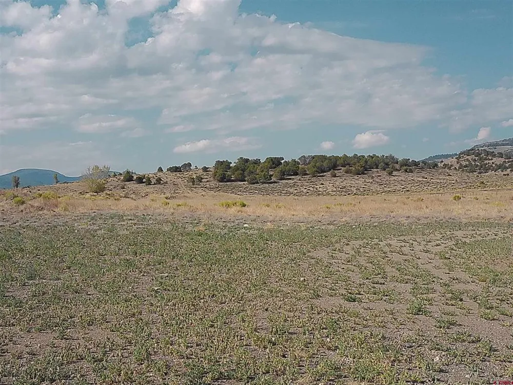 1266 County Road 14 Del Norte, CO 81132