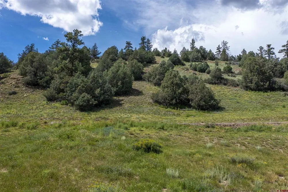 County Road 335 Pagosa Springs, CO 81147