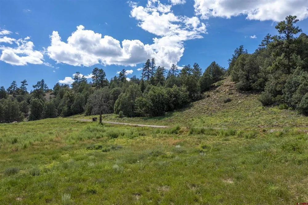 County Road 335 Pagosa Springs, CO 81147