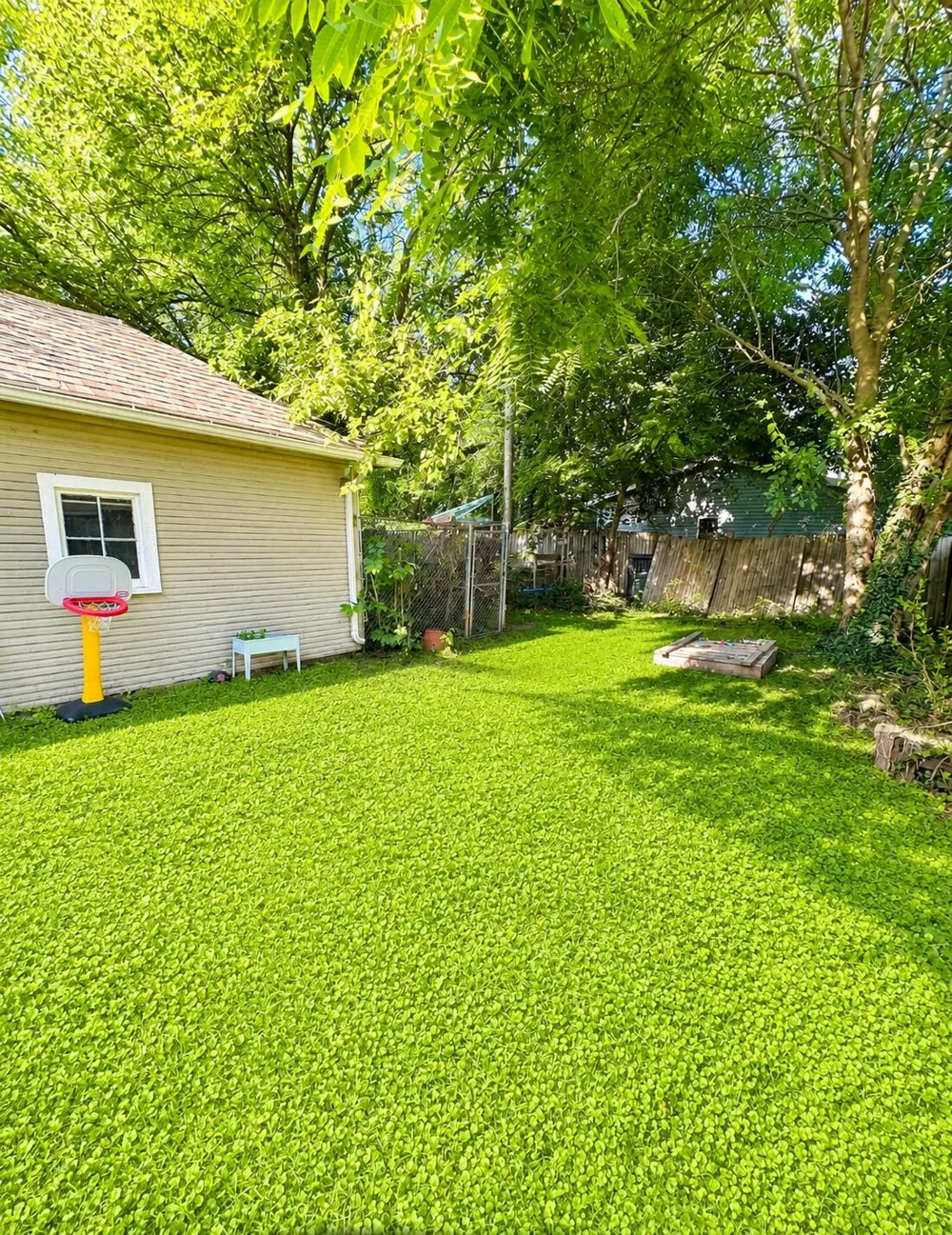 411 Pleasant Street Jackson City, MI 49202