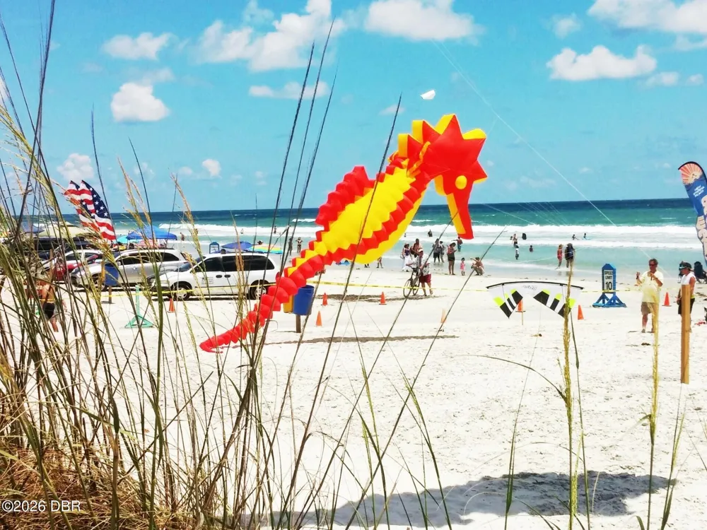 103 Dee Street New Smyrna Beach, FL 32168