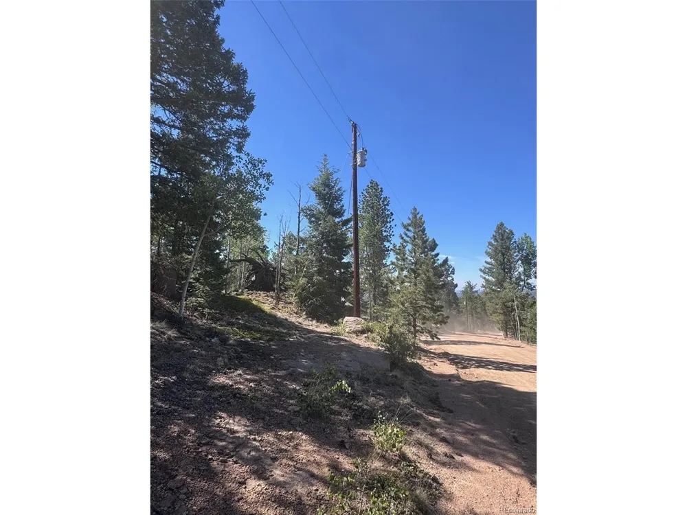 2334 Mountain Estates Road Florissant, CO 80816