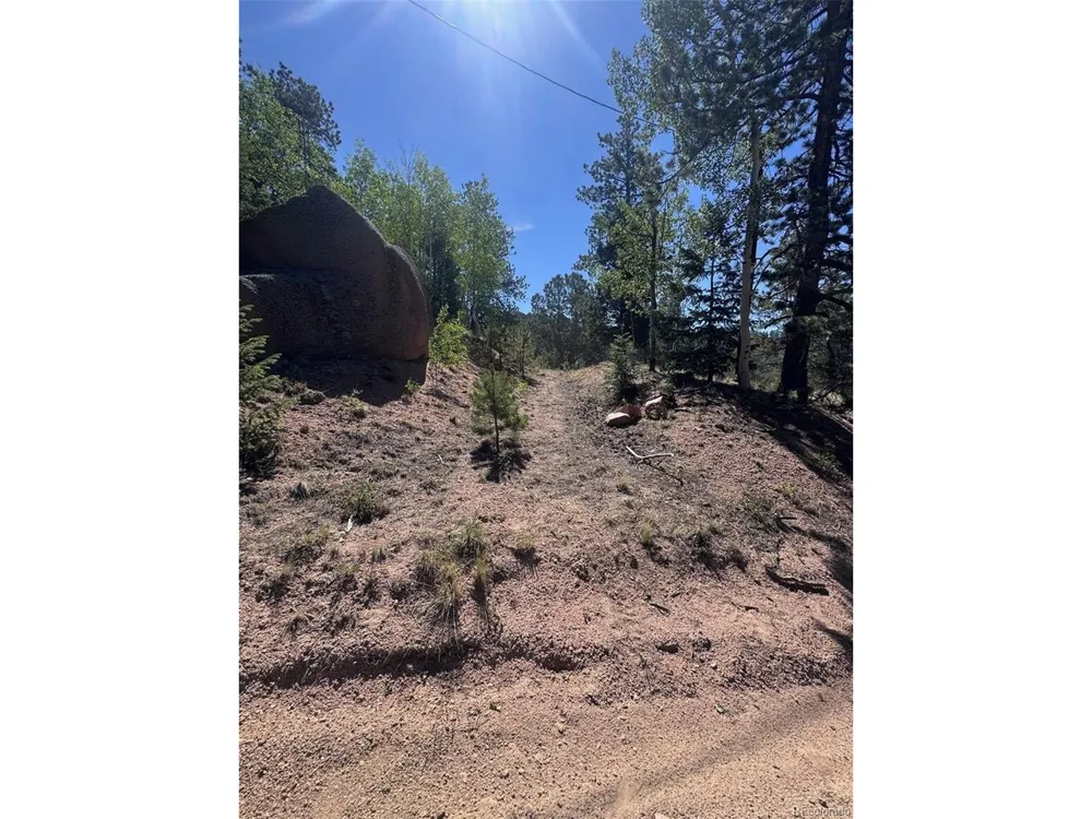 2334 Mountain Estates Road Florissant, CO 80816