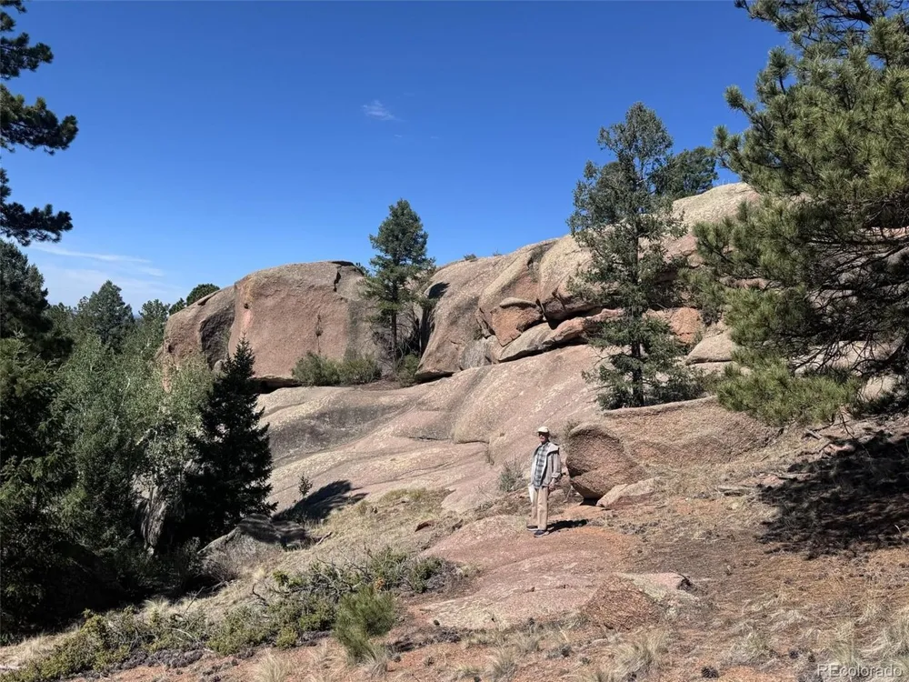 2334 Mountain Estates Road Florissant, CO 80816