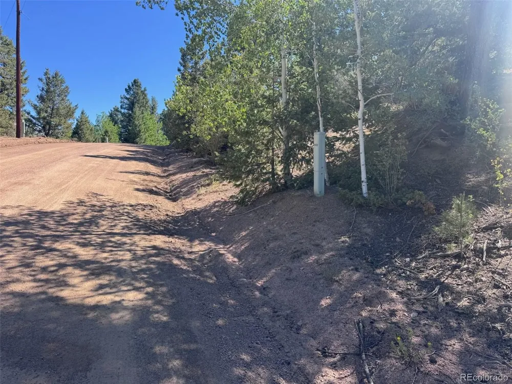 2334 Mountain Estates Road Florissant, CO 80816