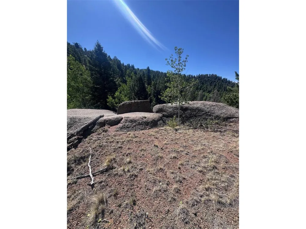 2334 Mountain Estates Road Florissant, CO 80816