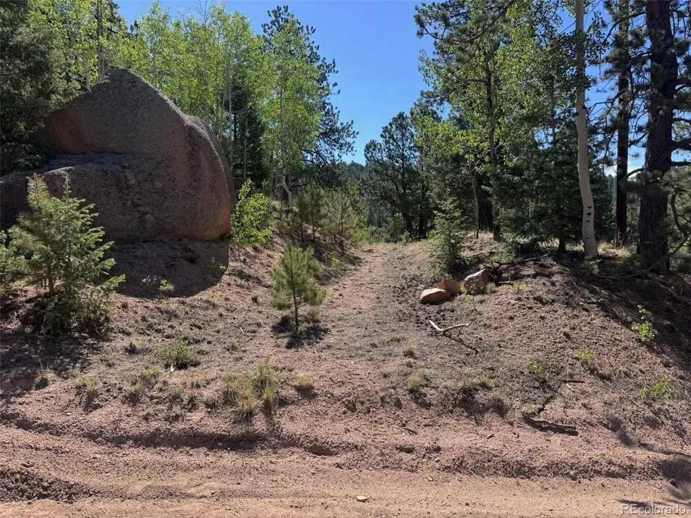 2334 Mountain Estates Road Florissant, CO 80816