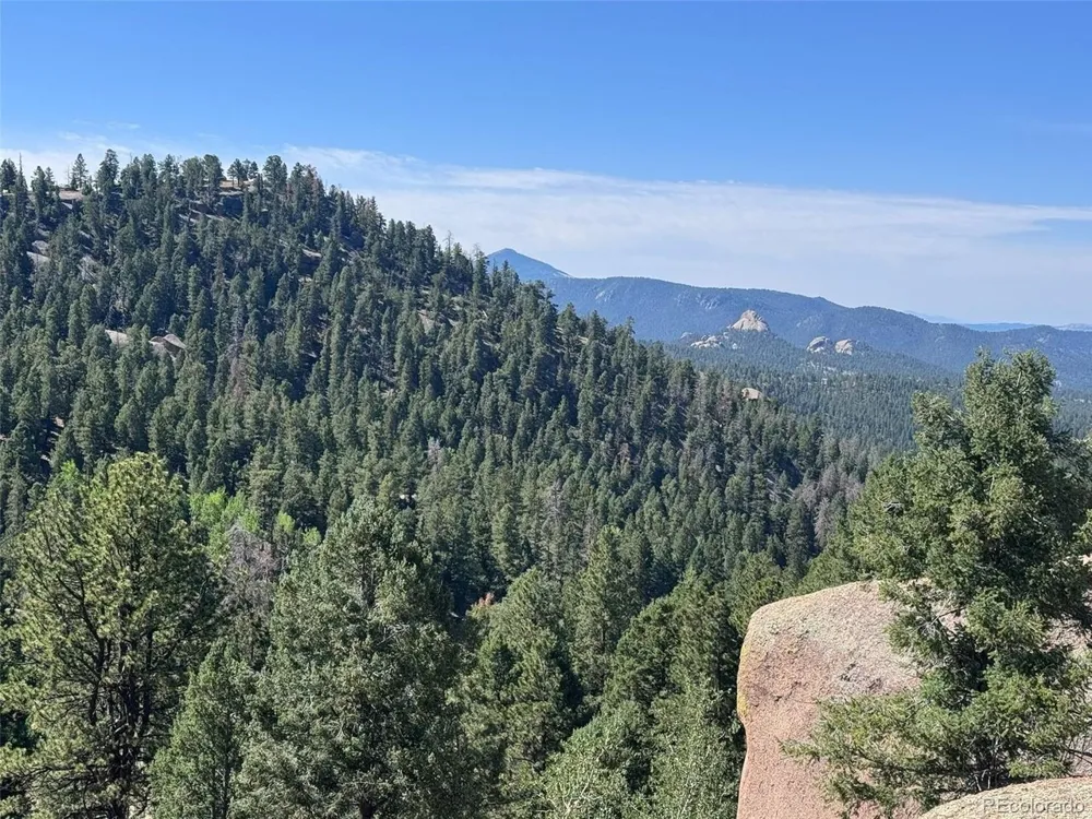 2334 Mountain Estates Road Florissant, CO 80816