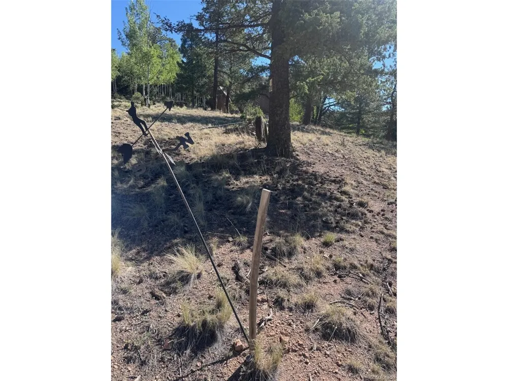 2334 Mountain Estates Road Florissant, CO 80816