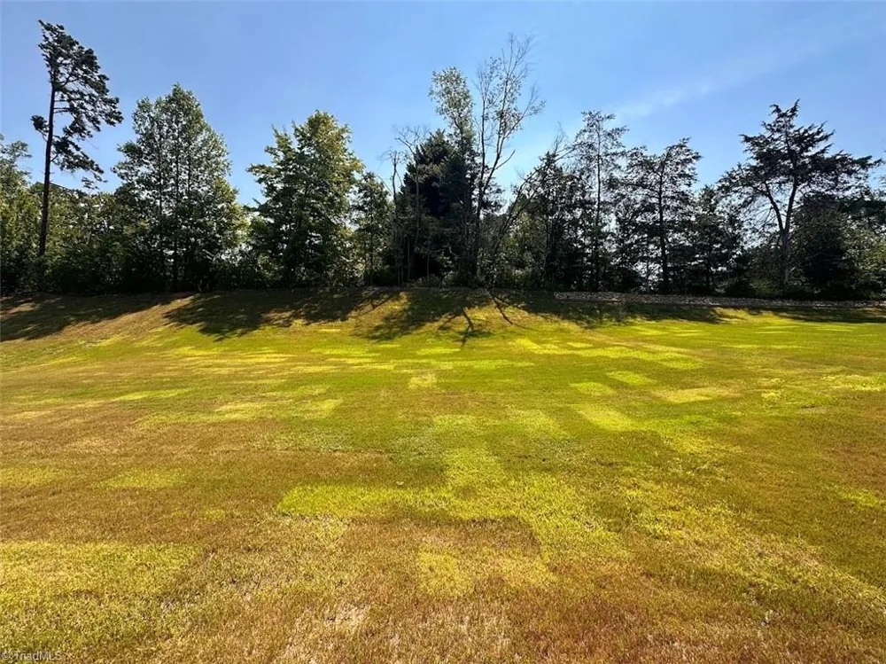 146 Preston Oaks Drive King, NC 27021