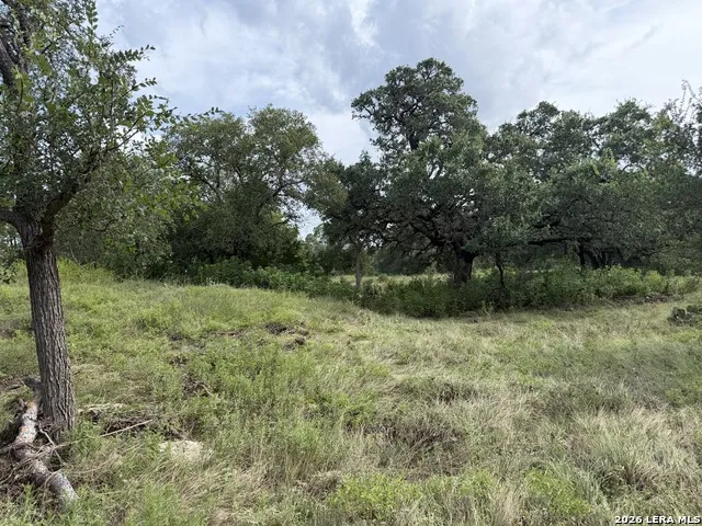6936 Circle Oak Dr Bulverde, TX 78163