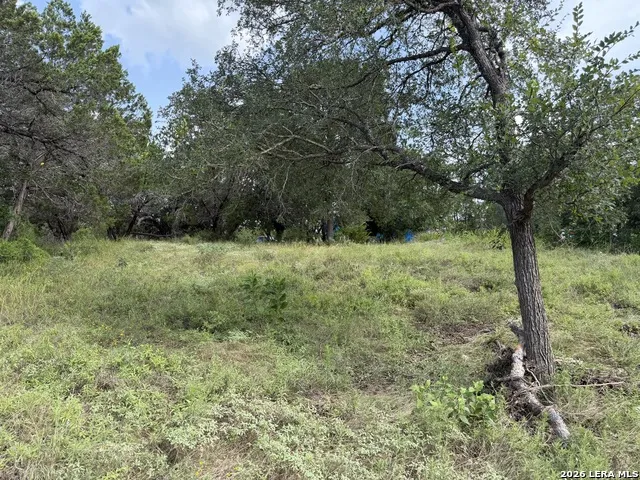 6936 Circle Oak Dr Bulverde, TX 78163