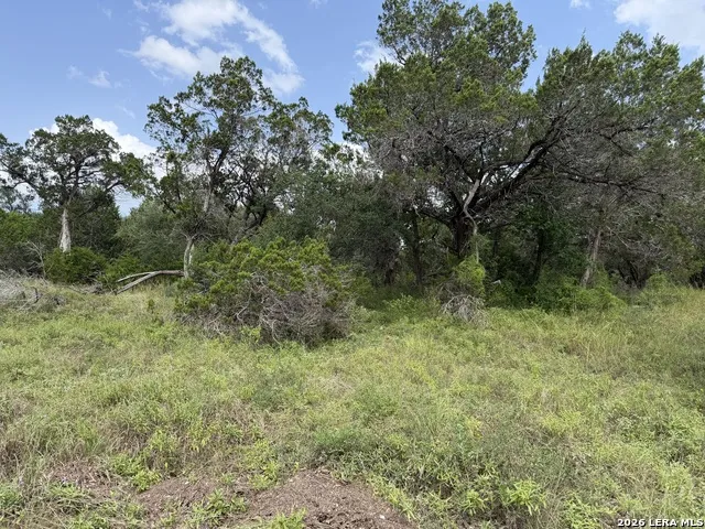 6936 Circle Oak Dr Bulverde, TX 78163