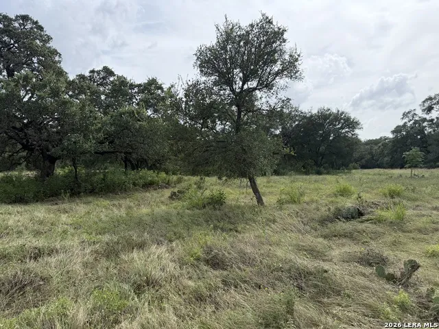 6936 Circle Oak Dr Bulverde, TX 78163