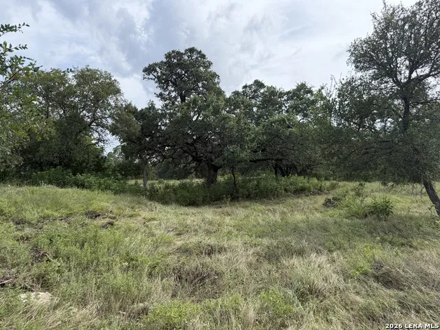 6936 Circle Oak Dr Bulverde, TX 78163