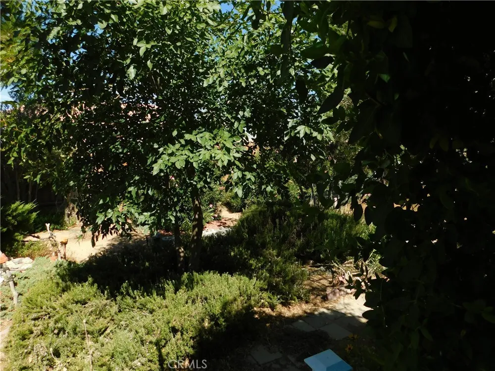 19825 Taylor California City, CA 93505