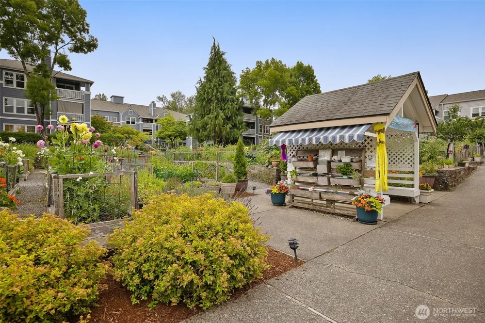 22760 SE 43rd Court #2617 Issaquah, WA 98029