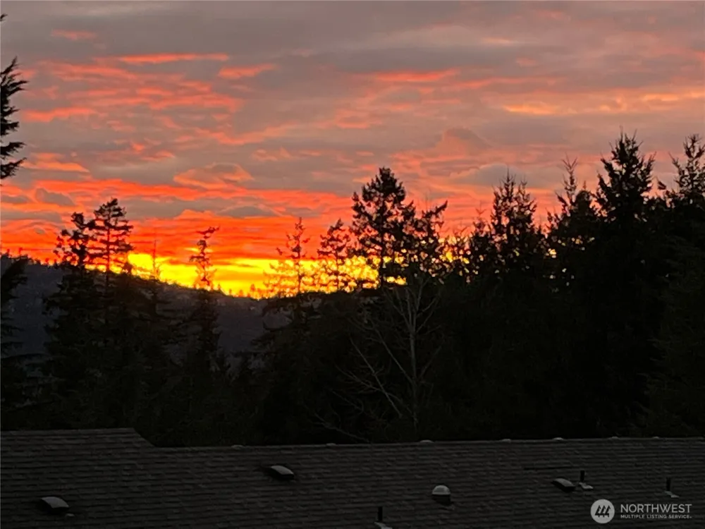 22760 SE 43rd Court #2617 Issaquah, WA 98029