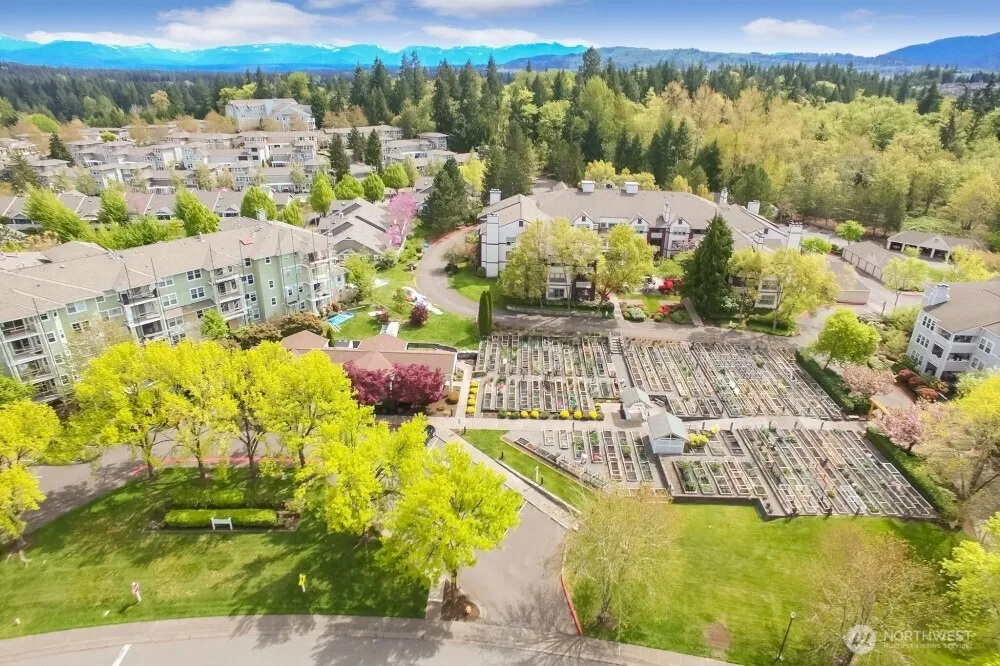 22760 SE 43rd Court #2617 Issaquah, WA 98029