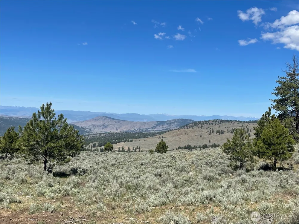234 One Sky View Drive Tonasket, WA 98855