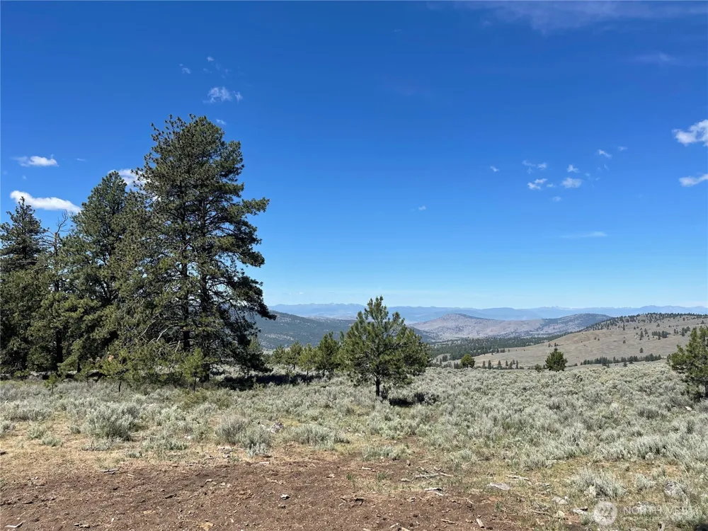 234 One Sky View Drive Tonasket, WA 98855