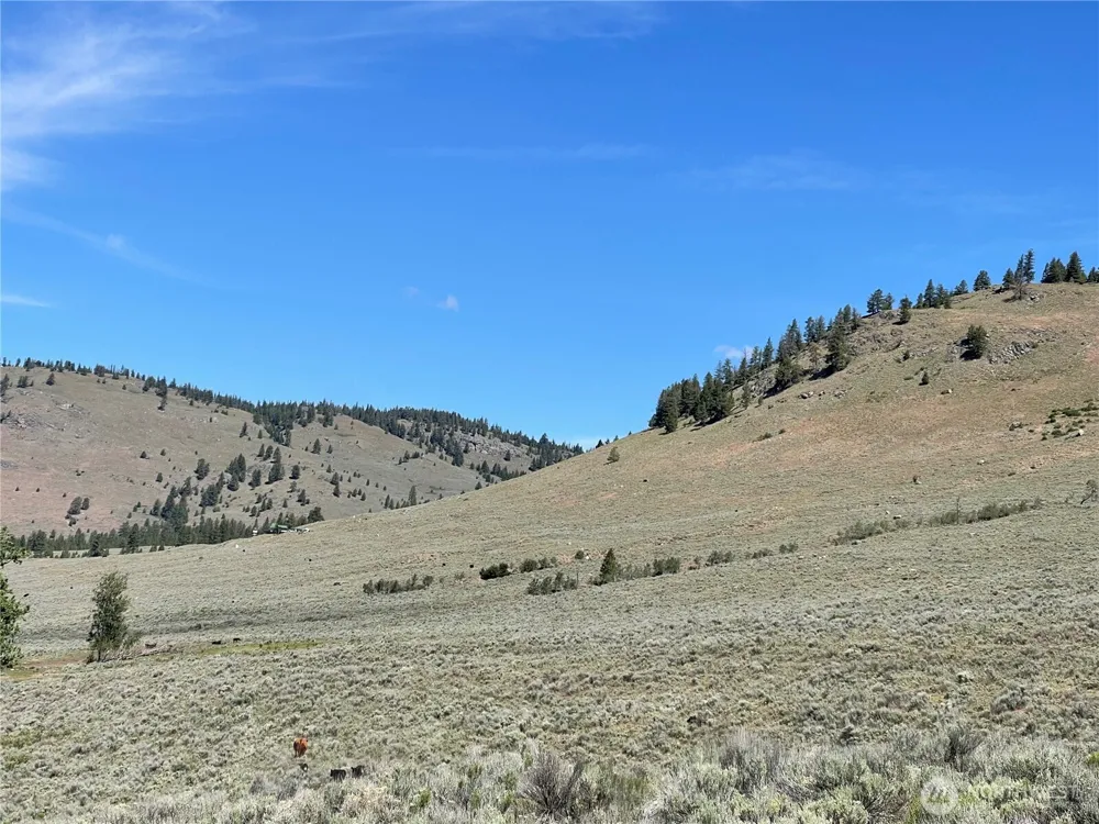 234 One Sky View Drive Tonasket, WA 98855