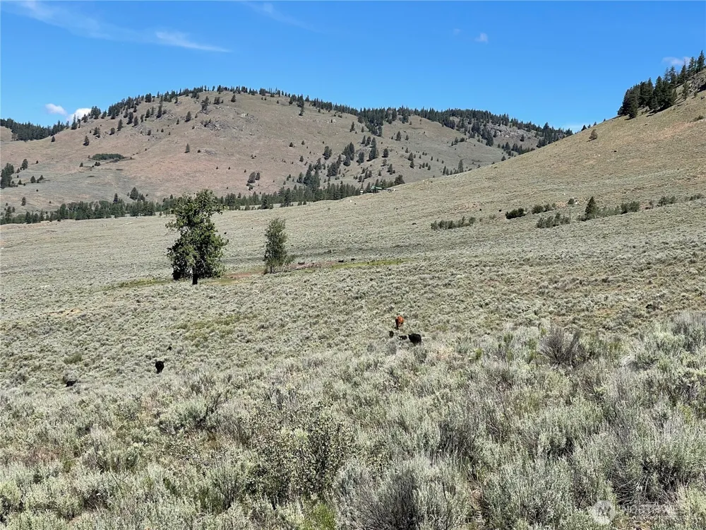 234 One Sky View Drive Tonasket, WA 98855