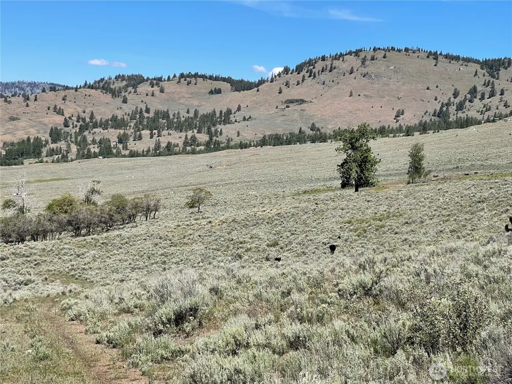 234 One Sky View Drive Tonasket, WA 98855