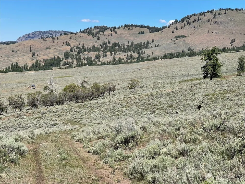 234 One Sky View Drive Tonasket, WA 98855