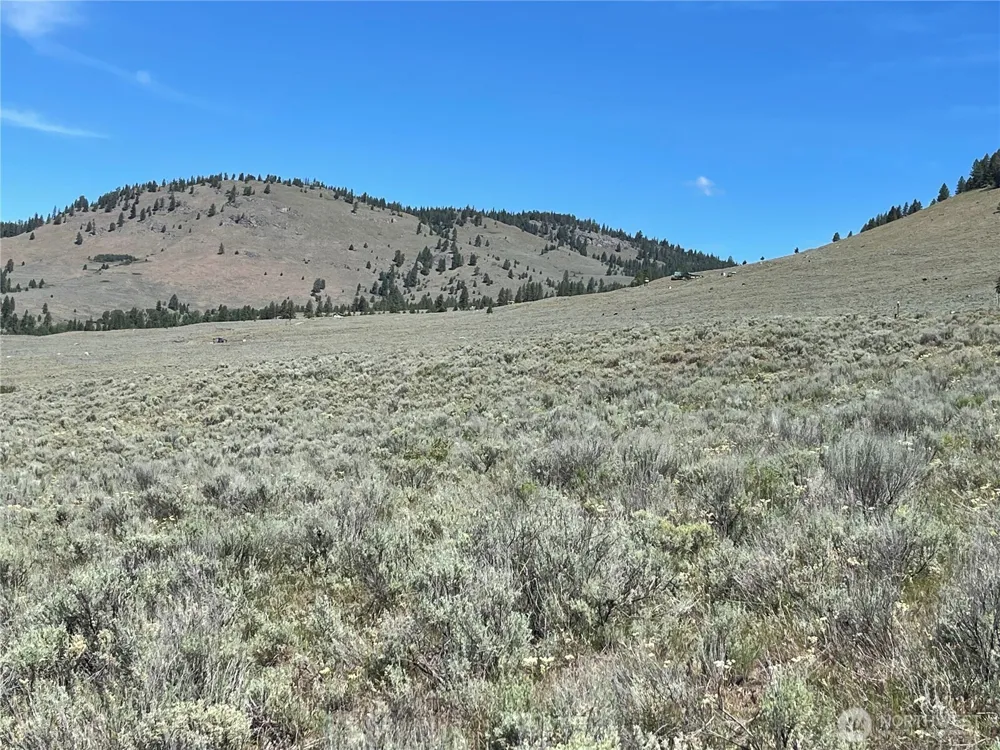 234 One Sky View Drive Tonasket, WA 98855
