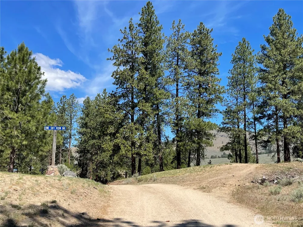 234 One Sky View Drive Tonasket, WA 98855