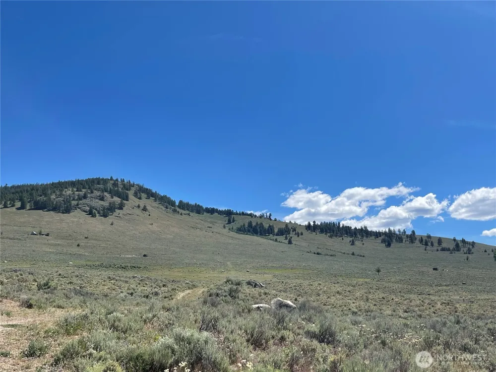234 One Sky View Drive Tonasket, WA 98855