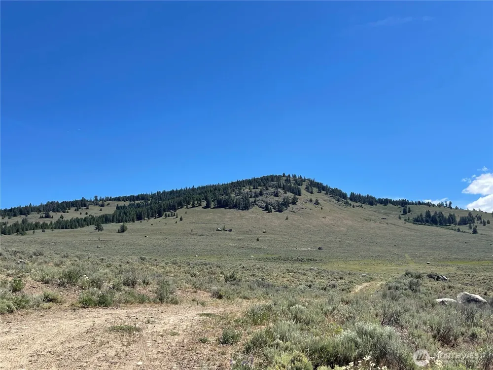 234 One Sky View Drive Tonasket, WA 98855
