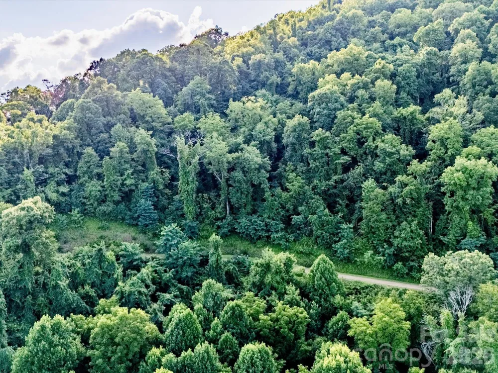 42 High Rock View Drive Canton, NC 28716